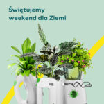 Akcja z IKEA i SKENDE. Wymieniamy elektroodpady na sadzonki