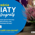 Kwiaty za elektrograty